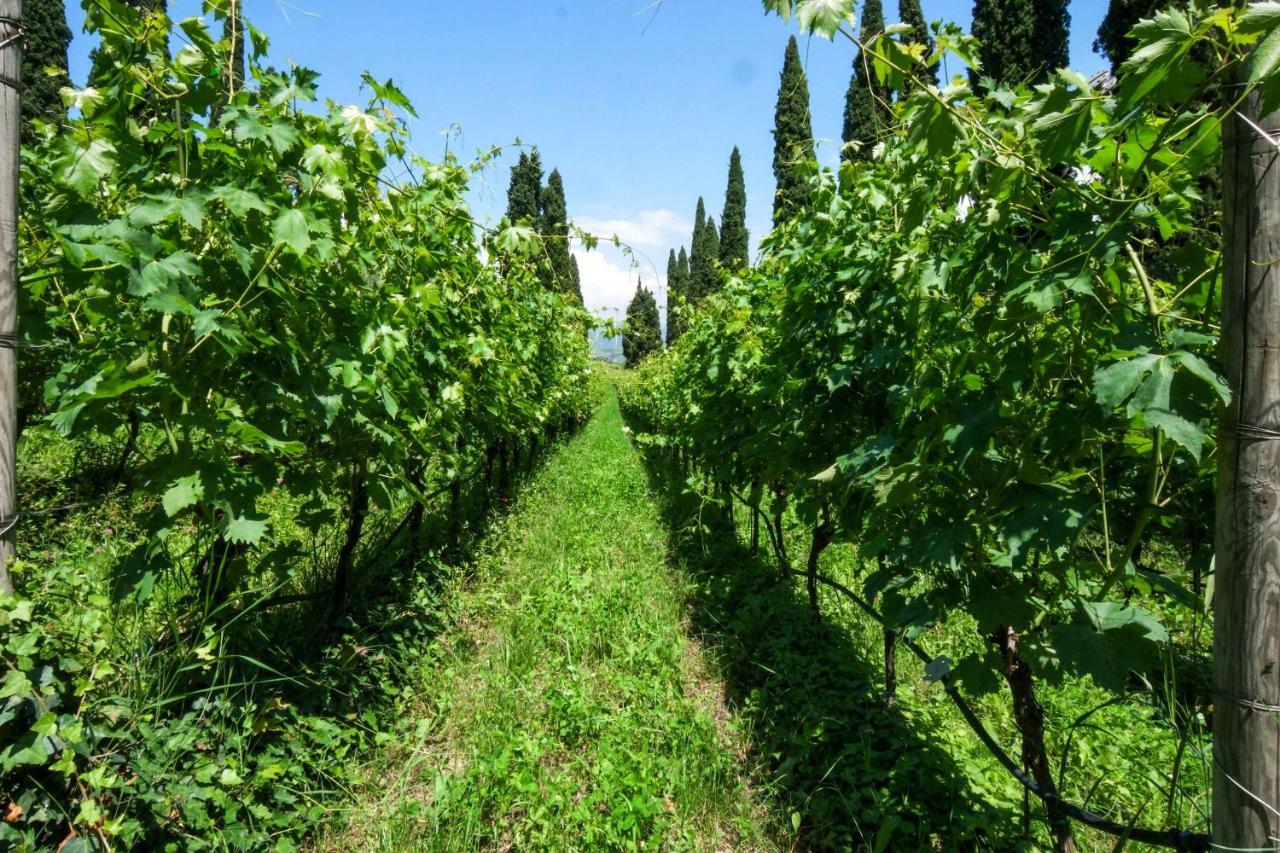 Villa Betteloni Valpolicella Suites Сан-П'єтро-ін-Каріано Екстер'єр фото