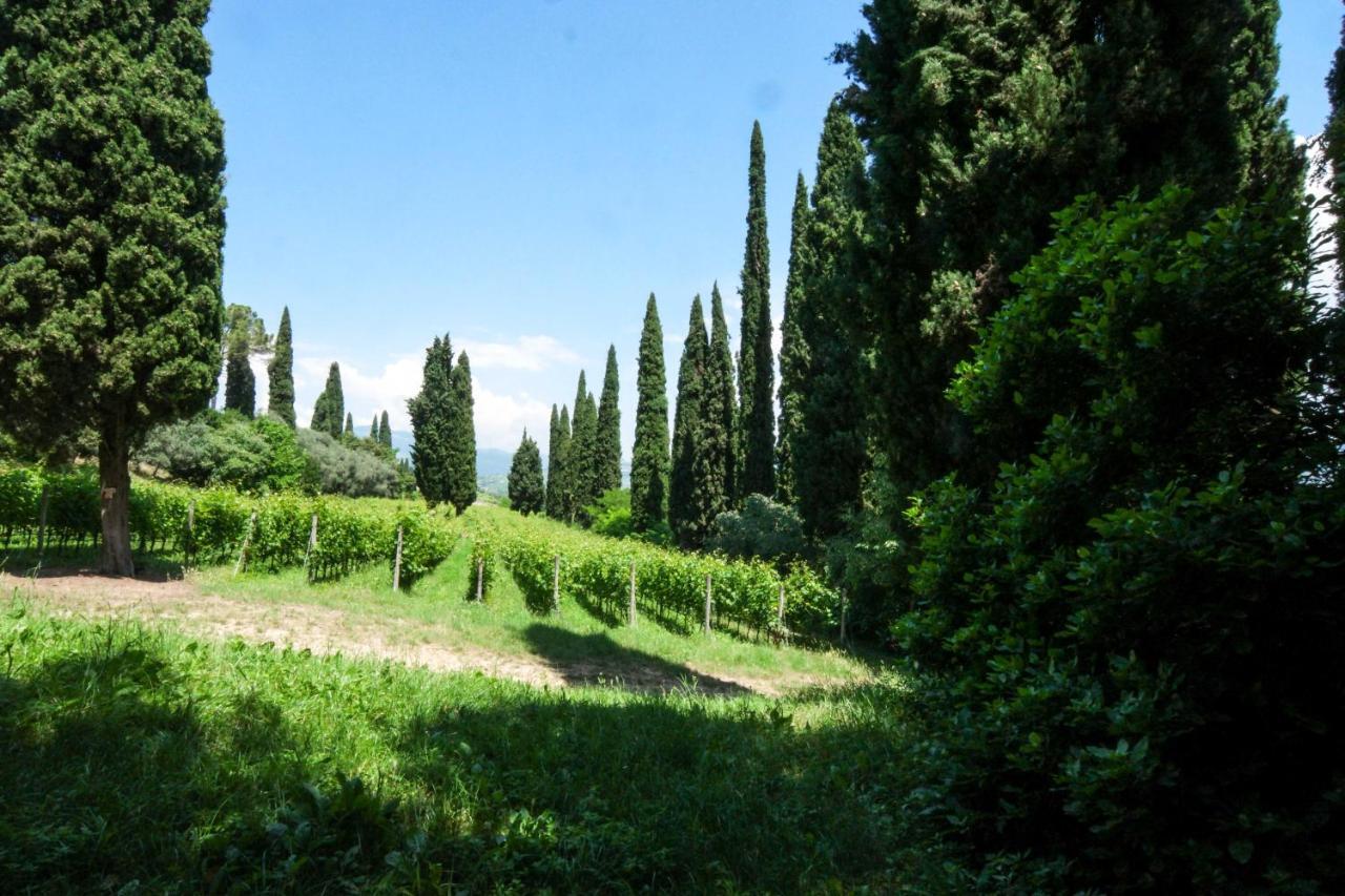 Villa Betteloni Valpolicella Suites Сан-П'єтро-ін-Каріано Екстер'єр фото