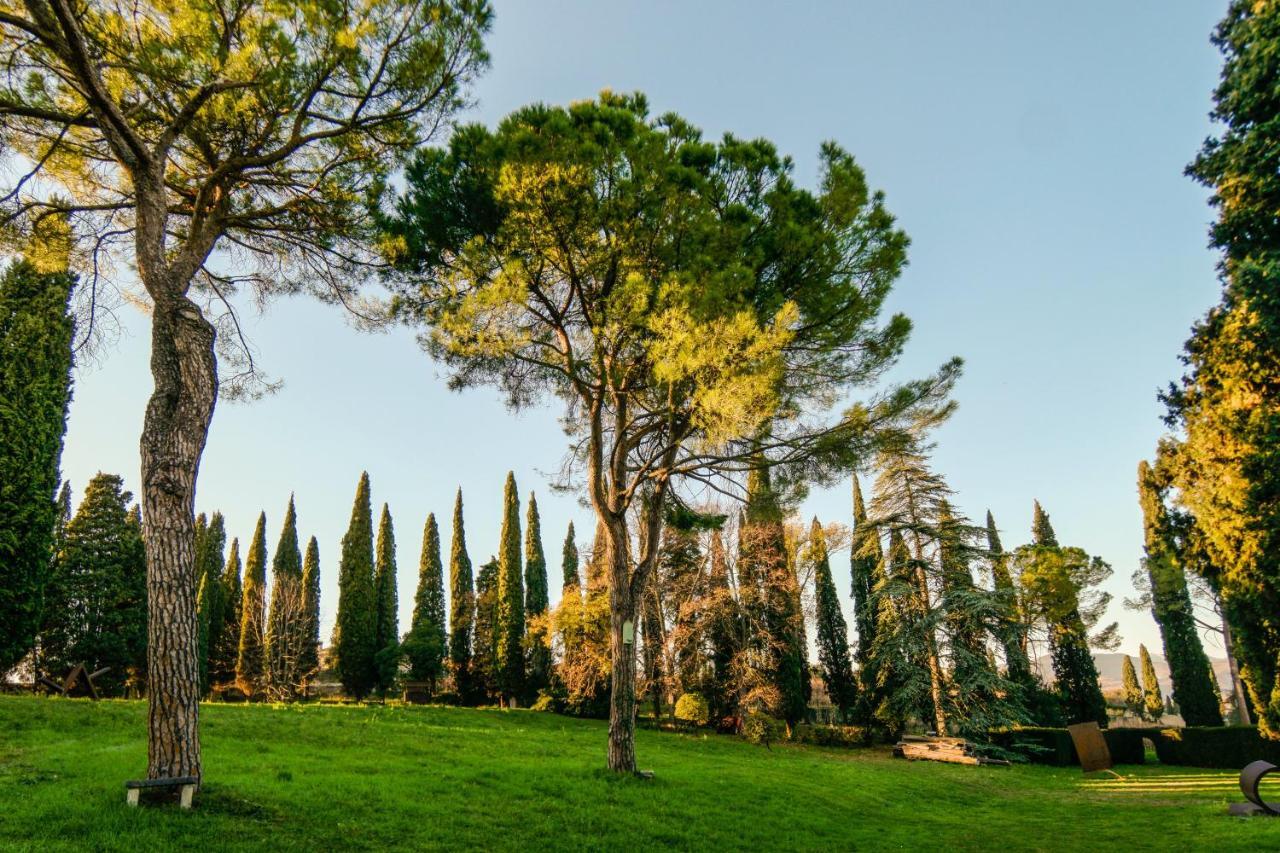 Villa Betteloni Valpolicella Suites Сан-П'єтро-ін-Каріано Номер фото